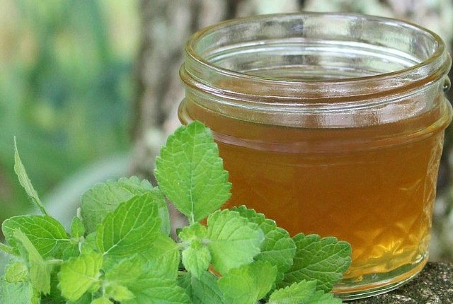 honey mint toner for skin