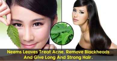 neem powder for hair and skin