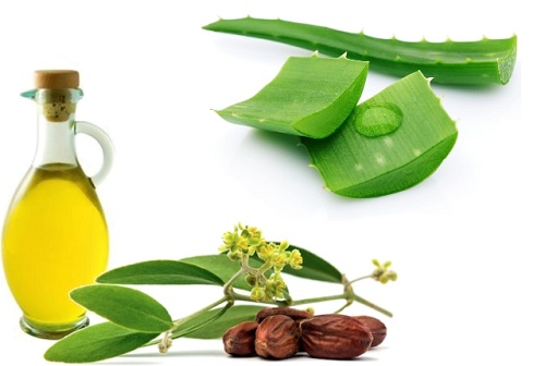 Aloe-Vera-and-jojoba-oil