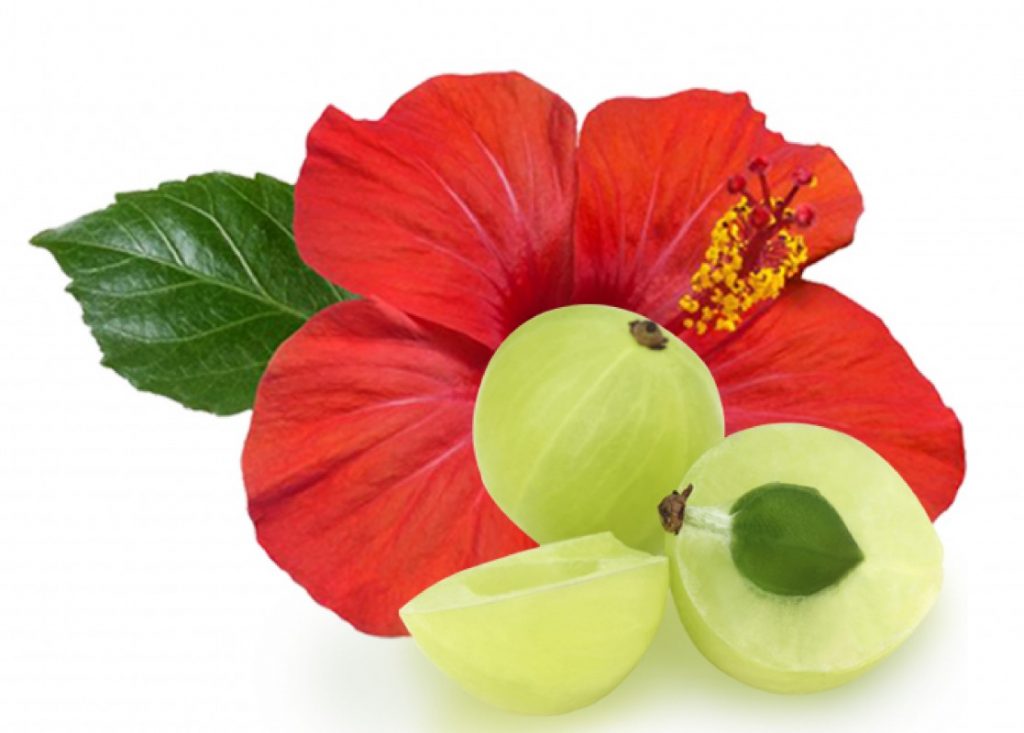 Hibiscus and Amla Hair Mask