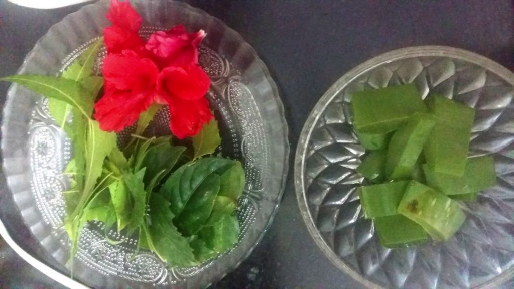 Hibiscus with Aloe Vera