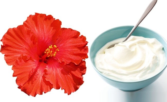 yogurt-and-hibiscus