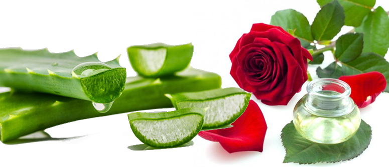 Aloe Vera and Rose Water