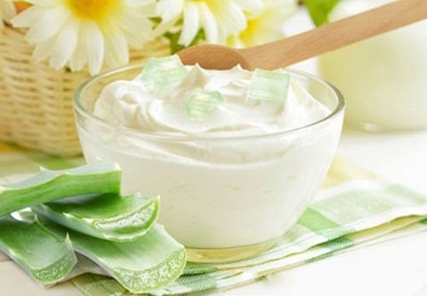 Curd and Aloe Vera