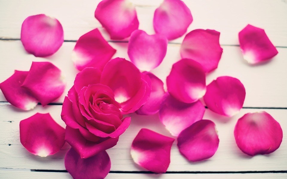 Rose-Petals-for-Hair-Growth