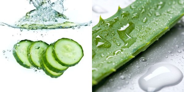 Aloe Vera and Cucumber