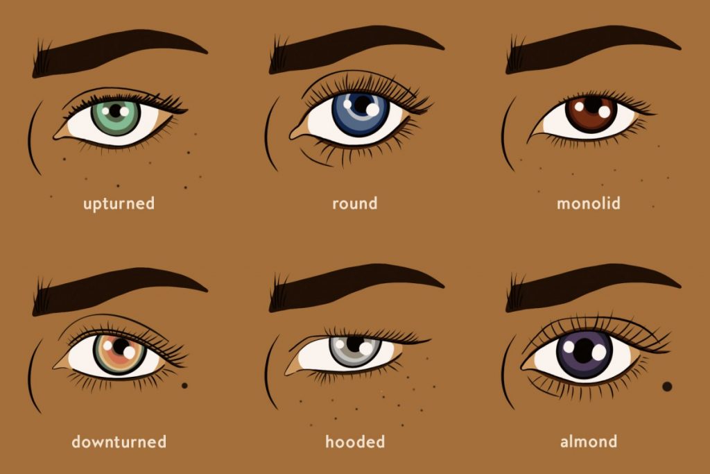 different eye shapes