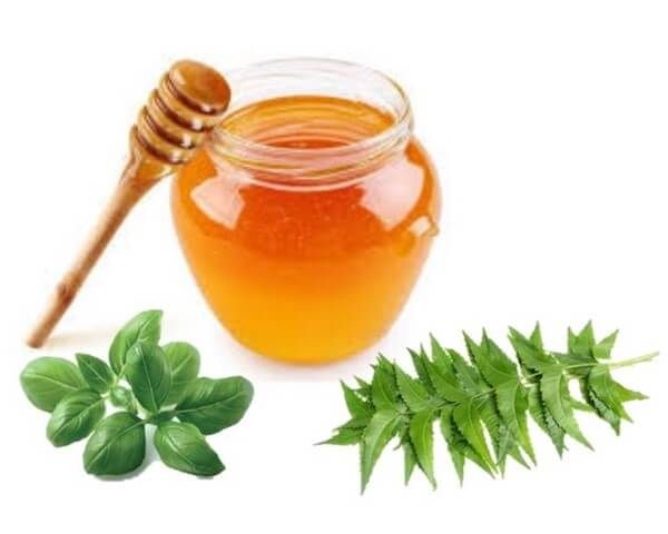 neem and honey face mask