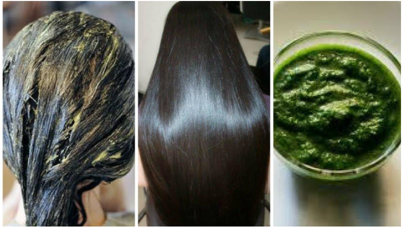 betel leaf for hair growth