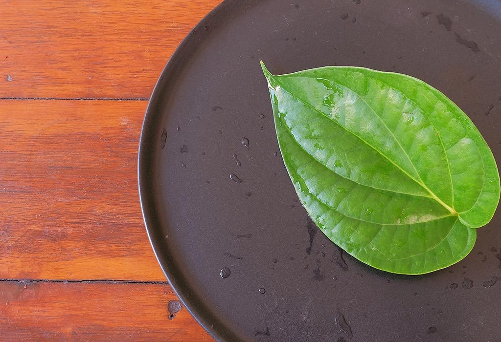 betel leaf for hair growth