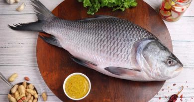 catla fish benefits