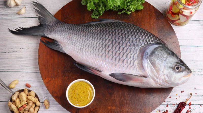 catla fish benefits