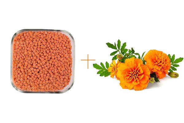 masoor dal for acne scars