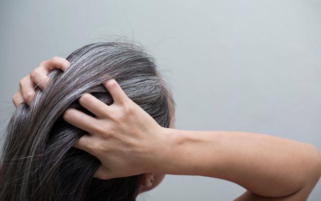 avocado oil benefits for natural hair