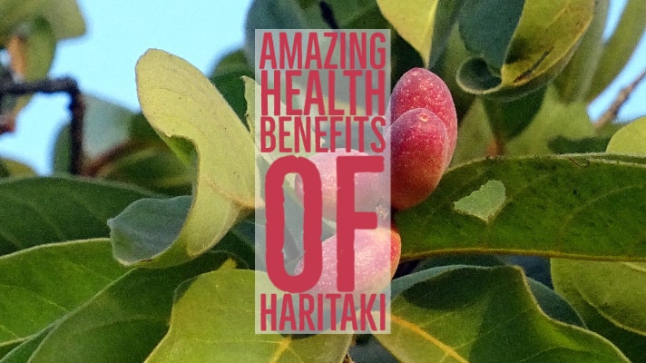 Haritaki Benefits