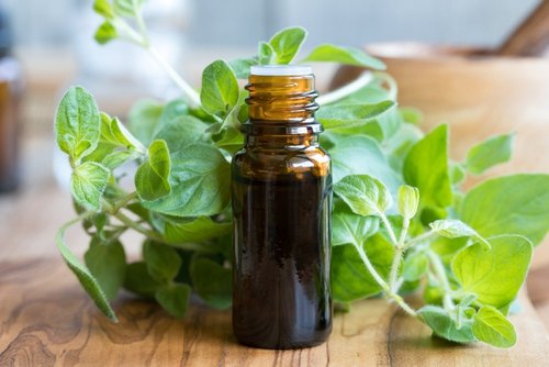 oregano oil for hair