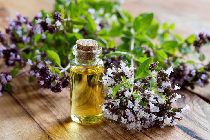 oregano oil for hair