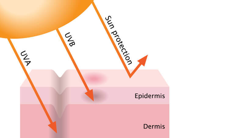 Sunscreen Before or After Moisturizer